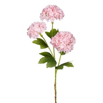 Kunstzweig Schneeball SKORNE, rosa, 60cm Kunstzweig Schneeball SKORNE, rosa, 60cm