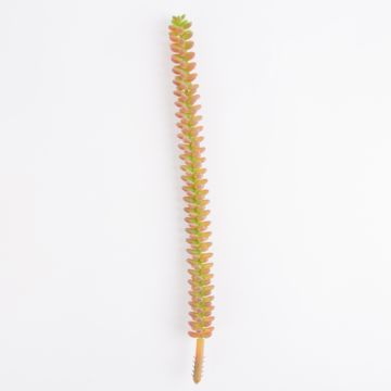Kunststoff Crassula Perforata MAZUR auf Steckstab, orange, 30cm, Ø2cm