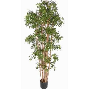 Künstlicher Bambus NARO, Echtstämme, 150cm