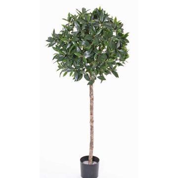 Künstlicher Kirschlorbeer Kugel ALEXIOS, Echtstamm, Früchte, 175cm, Ø55cm Künstlicher Kirschlorbeer Kugel ALEXIOS, Echtstamm, Früchte, 175cm, Ø55cm