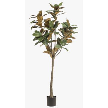 Yulan-Magnolienbaum künstlich BELLITA, Kunststamm, grün-olive, 150cm