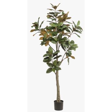 Yulan-Magnolienbaum künstlich BELLITA, Kunststamm, grün-olive, 180cm