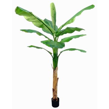 Künstlicher Bananenbaum SCHWANA, 210cm