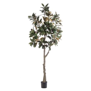 Yulan-Magnolienbaum künstlich BELLITA, Kunststamm, grün-olive, 240cm