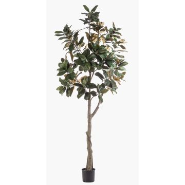Yulan-Magnolienbaum künstlich BELLITA, Kunststamm, grün-olive, 240cm