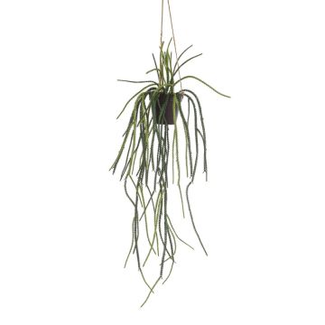 Künstliche Blumenampel Rhipsalis pilocarpa JEXIA, Dekotopf, grün, 85cm
