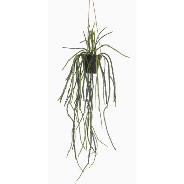 Künstliche Blumenampel Rhipsalis pilocarpa JEXIA, Dekotopf, grün, 85cm