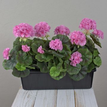 Künstliche Geranien FLOREANA im Blumenkasten, 3 Stück, lila, 40x15x35cm Künstliche Geranien FLOREANA im Blumenkasten, 3 Stück, lila, 40x15x35cm