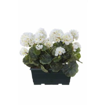 Künstliche Geranien FLOREANA im Blumenkasten, 2 Stück, weiß, 24x11x35cm