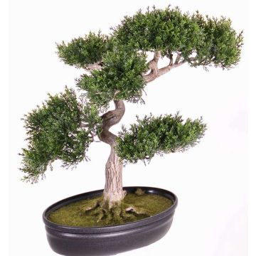 Künstlicher Bonsai Zeder JARNO mit Wurzeln, in Pflanzschale, 40cm