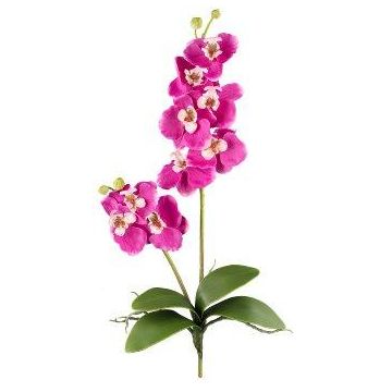 Textil Phalaenopsis Orchidee MORLEK, Steckstab, Wurzeln, pink, 60cm