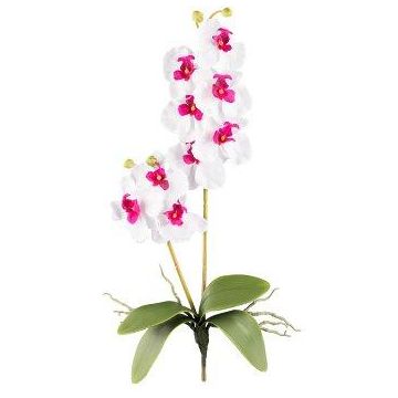 Textil Phalaenopsis Orchidee MORLEK, Steckstab, Wurzeln, weiß-lila, 60cm