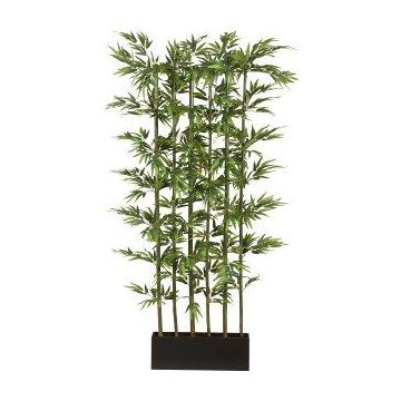 Künstlicher Japanischer Pfeilbambus Raumteiler KAWAI im Holzkasten, Naturstämme, 115x50x195cm Künstlicher Japanischer Pfeilbambus Raumteiler KAWAI im Holzkasten, Naturstämme, 115x50x195cm