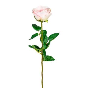 Dekoblume Rose NORLAN, rosa, 70cm, Ø8cm Dekoblume Rose NORLAN, rosa, 70cm, Ø8cm