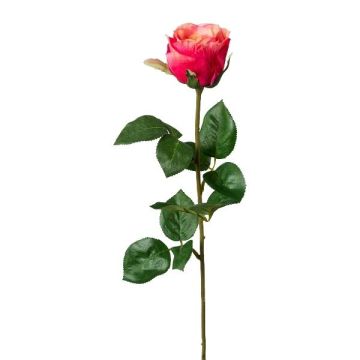 Dekoblume Rose NORLAN, pink-pfirsich, 70cm, Ø8cm Dekoblume Rose NORLAN, pink-pfirsich, 70cm, Ø8cm