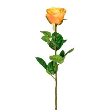 Dekoblume Rose NORLAN, aprikose, 70cm, Ø8cm Dekoblume Rose NORLAN, aprikose, 70cm, Ø8cm