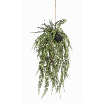 Kunstpflanze Farn Königsfarn MANASLU, Erdball, Wurzeln, grün, 70cm Kunstpflanze Farn Königsfarn MANASLU, Erdball, Wurzeln, grün, 70cm