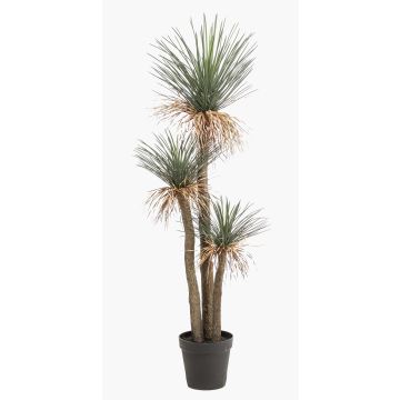 Künstliche Yucca rostrata DENALI im Dekotopf, 180cm