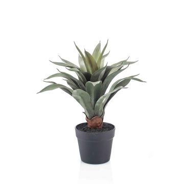 Kunst Sukkulente Drachenbaum-Agave RUPUN im Dekotopf, grün, 45cm