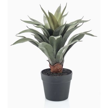 Kunst Sukkulente Drachenbaum-Agave RUPUN im Dekotopf, grün, 45cm