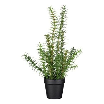 Künstliches Kraut Rosmarin VENTALI im Dekotopf, grün, 40cm Künstliches Kraut Rosmarin VENTALI im Dekotopf, grün, 40cm