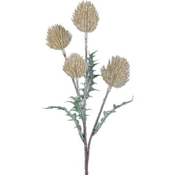 Deko Zweig Edeldistel KRILMO, vanille, 40cm Deko Zweig Edeldistel KRILMO, vanille, 40cm
