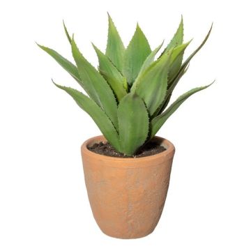 Kunst Sukkulente Agave americana FROMSA im Terracottatopf, buschig, grün, 40cm