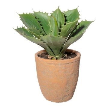 Deko Sukkulente Agave pygmaea BUKEF im Dekotopf, grün, 25cm