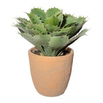 Deko Sukkulente Agave pygmaea BUKEF im Dekotopf, grün, 30cm