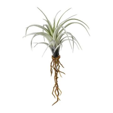 Künstliche Sukkulente Tillandsia stricta SNELDON mit Wurzeln, grün, 22cm
