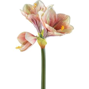 Dekoblume Amaryllis BELAV, rosa-creme-grün, 70cm, Ø5-13cm