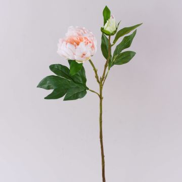 Pfingstrose künstlich FYRFAR, offen, hellrosa, 60cm