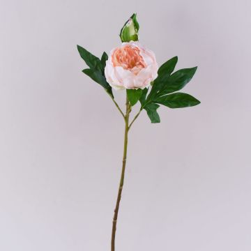 Pfingstrose künstlich FYRFAR, halboffen, hellrosa, 60cm