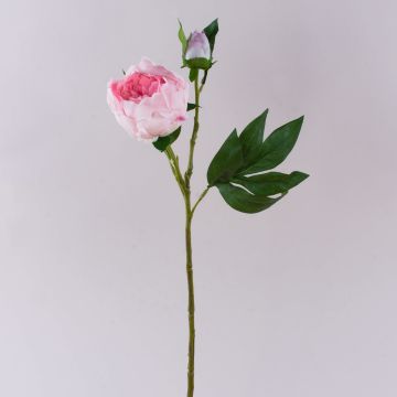 Pfingstrose künstlich FYRFAR, halboffen, rosa, 60cm
