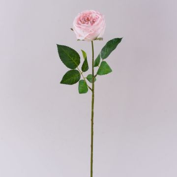 Künstliche Kohl-Rose MARNUK, hellrosa, 60cm, Ø9cm Künstliche Kohl-Rose MARNUK, hellrosa, 60cm, Ø9cm