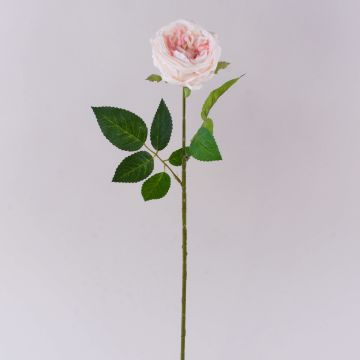 Künstliche Kohl-Rose MARNUK, creme-rosa, 60cm, Ø9cm Künstliche Kohl-Rose MARNUK, creme-rosa, 60cm, Ø9cm