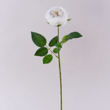 Künstliche Kohl-Rose MARNUK, creme-weiß, 60cm, Ø9cm