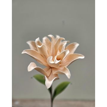 Kunststoffschaum Kamelie SINDAKLY, aprikose, 80cm