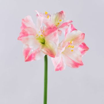 Künstliche Amaryllis SARNUK, weiß-rosa, 80cm Künstliche Amaryllis SARNUK, weiß-rosa, 80cm