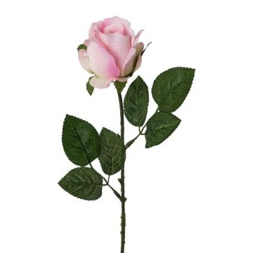 Kunstblume Rose KRALVE, rosa-creme, 65cm, Ø5cm Kunstblume Rose KRALVE, rosa-creme, 65cm, Ø5cm