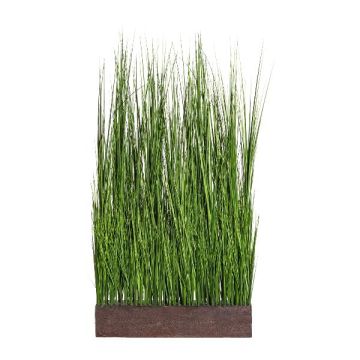 Deko Fuchsschwanzgras Raumteiler WINNIE im Kunststoffkasten, grün, 70x20x125cm Deko Fuchsschwanzgras Raumteiler WINNIE im Kunststoffkasten, grün, 70x20x125cm