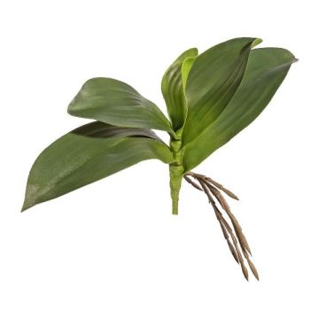 Kunstblätter Phalaenopsis Orchidee BRULST, Steckstab, Wurzeln, 25cm