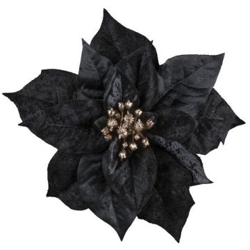 Samt Weihnachtsstern SINFE, schwarz, Ø18cm