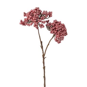 Dekozweig Holunder ZORNKE, Beeren, dunkelrosa, 50cm