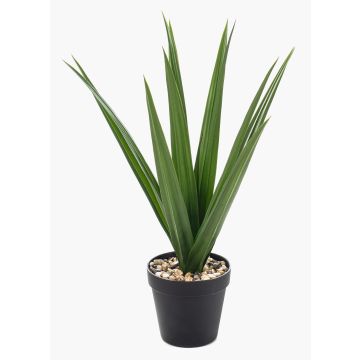 Künstliche Yucca Palme BAKVER, Dekotopf, crossdoor, 50cm