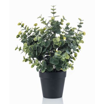 Eukalyptus künstlich GLIWEN im Dekotopf, grün-grau, 30cm Eukalyptus künstlich GLIWEN im Dekotopf, grün-grau, 30cm