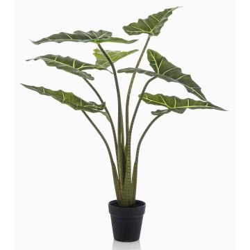 Kunstpflanze Alocasia Sanderiana MUNAY im Dekotopf, grün, 100cm Kunstpflanze Alocasia Sanderiana MUNAY im Dekotopf, grün, 100cm