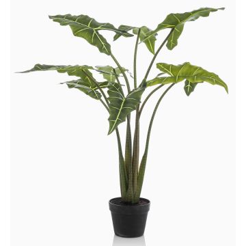 Kunstpflanze Alocasia Sanderiana MUNAY im Dekotopf, grün, 120cm Kunstpflanze Alocasia Sanderiana MUNAY im Dekotopf, grün, 120cm