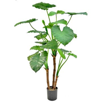 Kunstpflanze Alocasia calidora NOKJAN, grün, 120cm