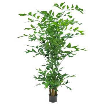 Künstliche Palme Fischschwanzpalme DRENIL, 240cm